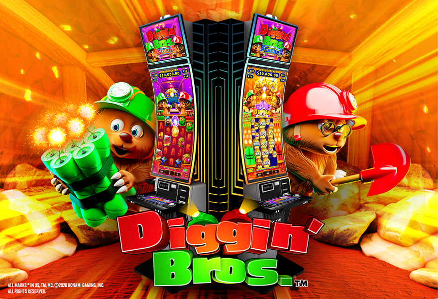 Diggin Bros Website Homepage Image